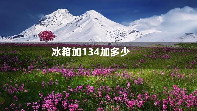 冰箱加134加多少