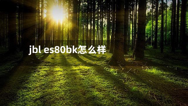 jbl es80bk怎么样