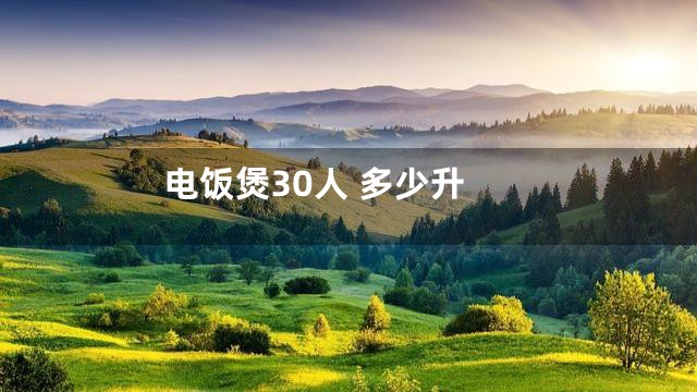 电饭煲30人 多少升