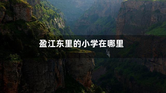 盈江东里的小学在哪里