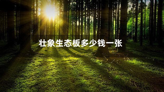 壮象生态板多少钱一张