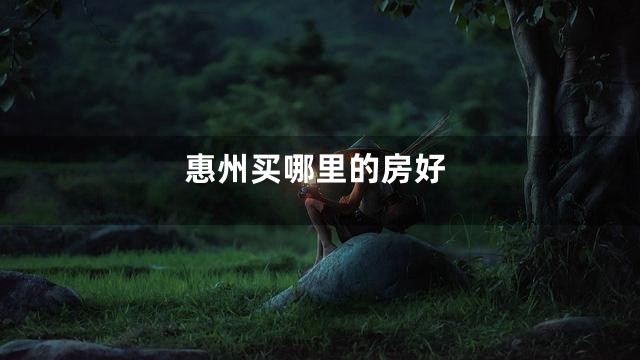 惠州买哪里的房好