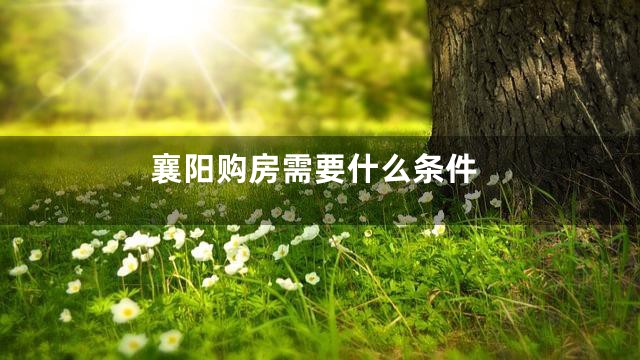 襄阳购房需要什么条件