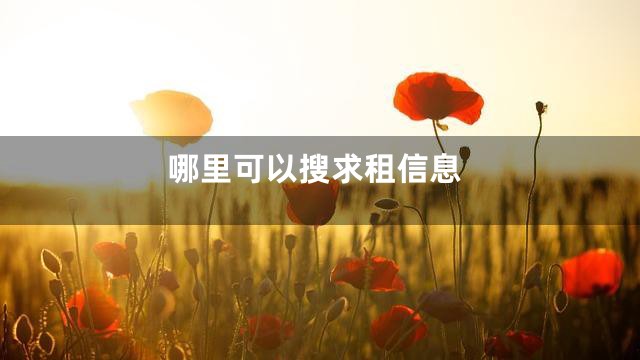 哪里可以搜求租信息