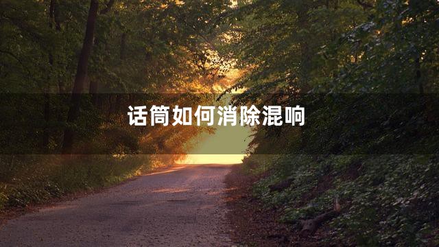 话筒如何消除混响