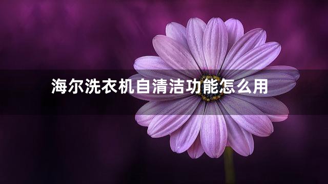 海尔洗衣机自清洁功能怎么用