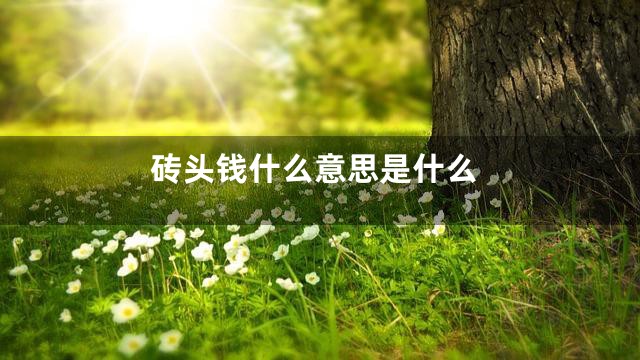 砖头钱什么意思是什么