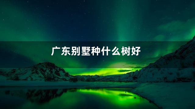 广东别墅种什么树好