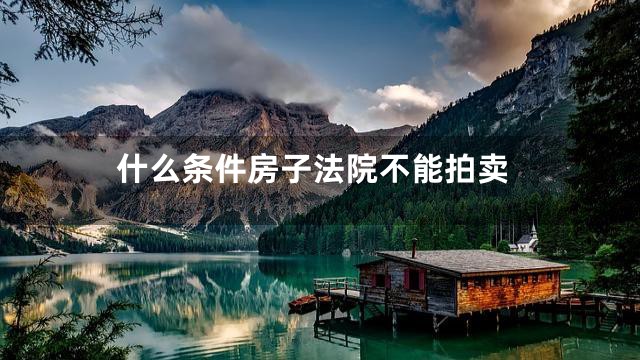 什么条件房子法院不能拍卖