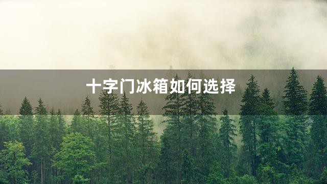 十字门冰箱如何选择