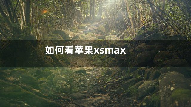 如何看苹果xsmax