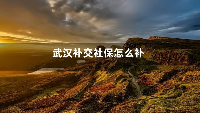 武汉补交社保怎么补