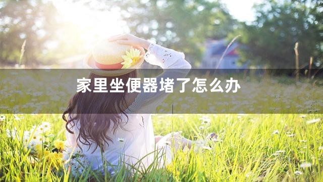 家里坐便器堵了怎么办