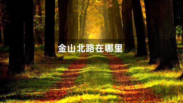 金山北路在哪里