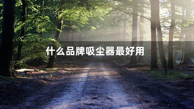 什么品牌吸尘器最好用