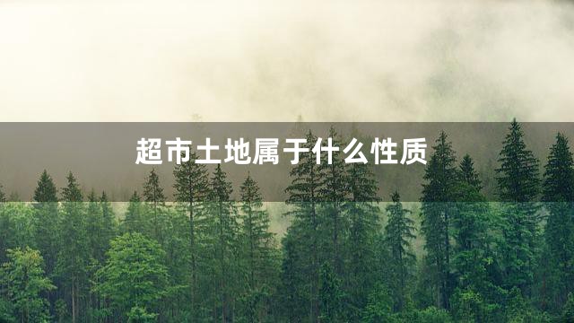 超市土地属于什么性质