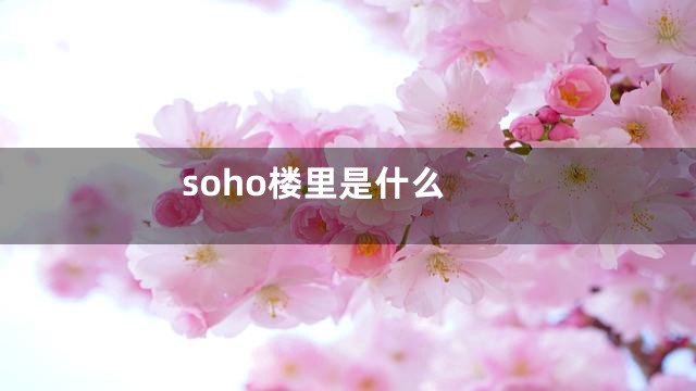 soho楼里是什么