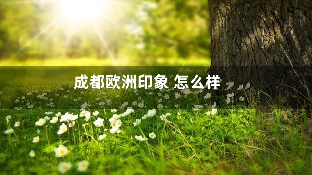 成都欧洲印象 怎么样