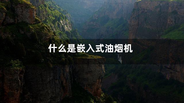 什么是嵌入式油烟机