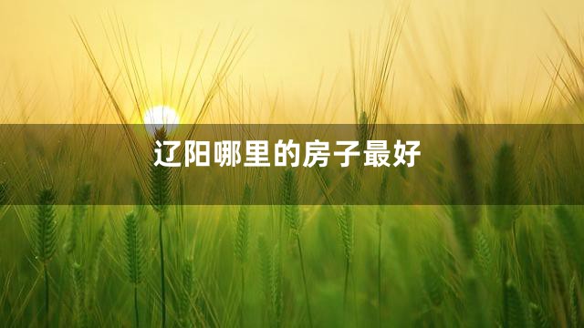 辽阳哪里的房子最好