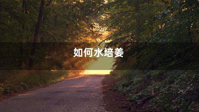 如何水培姜