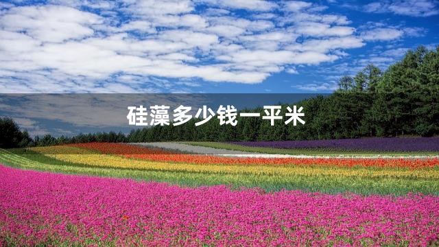 硅藻多少钱一平米