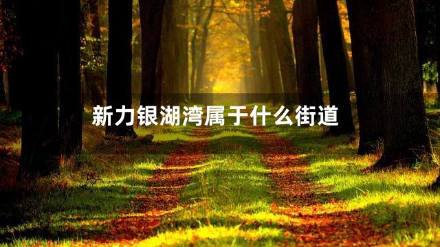 新力银湖湾属于什么街道