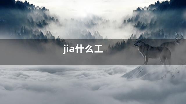 jia什么工