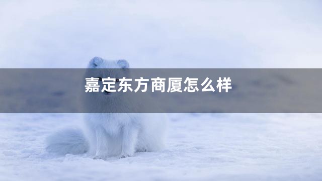 嘉定东方商厦怎么样