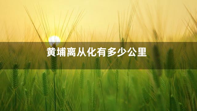 黄埔离从化有多少公里