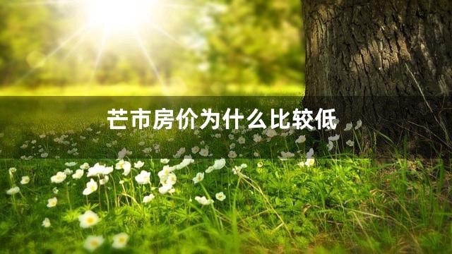 芒市房价为什么比较低