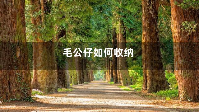 毛公仔如何收纳