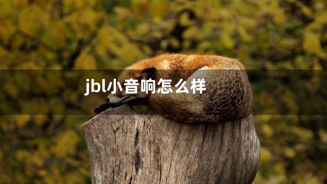 jbl小音响怎么样