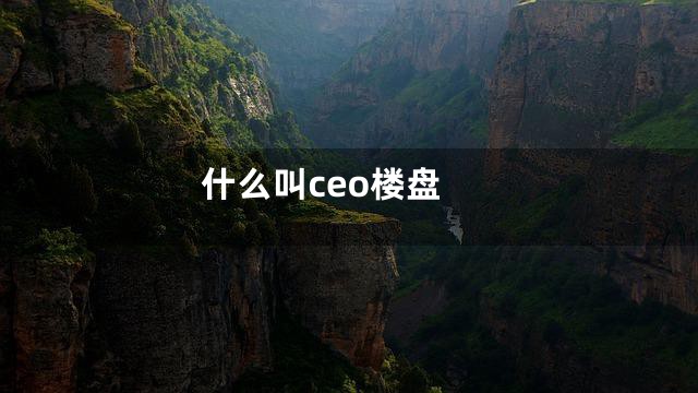 什么叫ceo楼盘