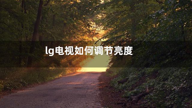 lg电视如何调节亮度