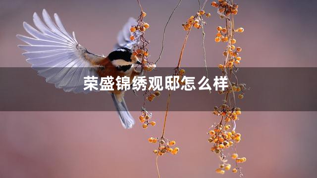 荣盛锦绣观邸怎么样