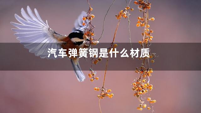 汽车弹簧钢是什么材质