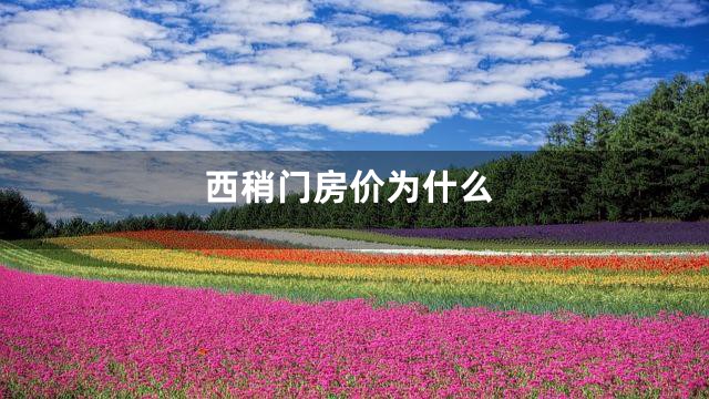 西稍门房价为什么