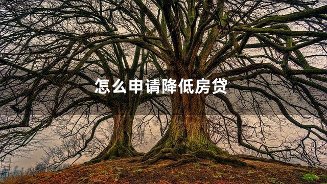 怎么申请降低房贷