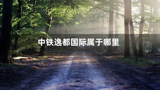 中铁逸都国际属于哪里