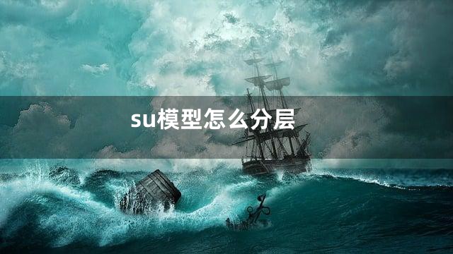 su模型怎么分层