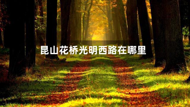 昆山花桥光明西路在哪里