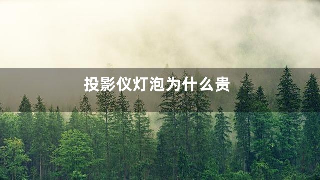 投影仪灯泡为什么贵
