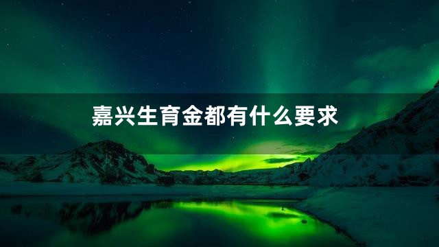 嘉兴生育金都有什么要求