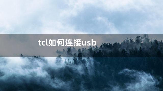 tcl如何连接usb