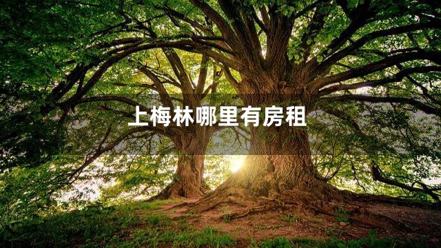 上梅林哪里有房租