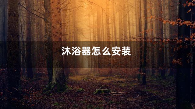 沐浴器怎么安装