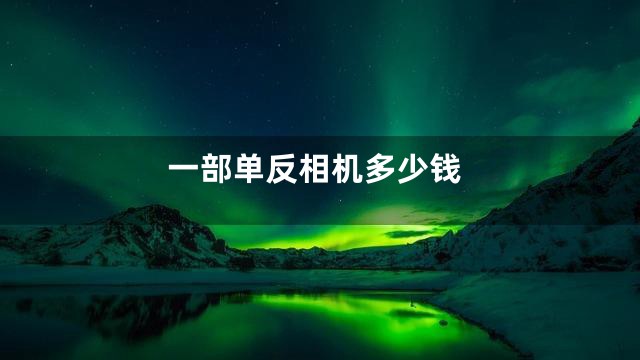 一部单反相机多少钱