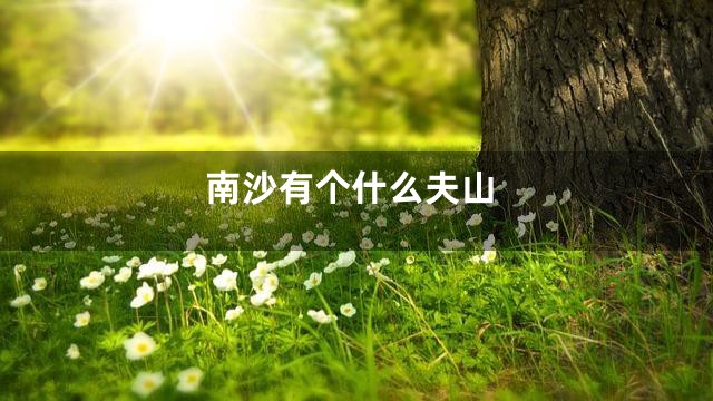 南沙有个什么夫山