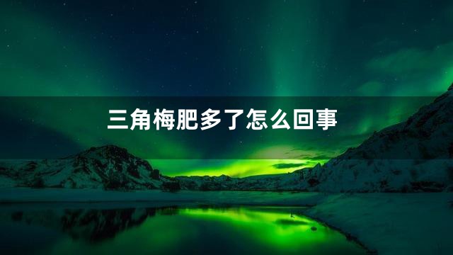 三角梅肥多了怎么回事